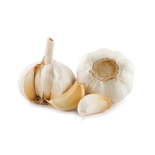 garlic